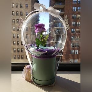 Luminous Balloons in a Box